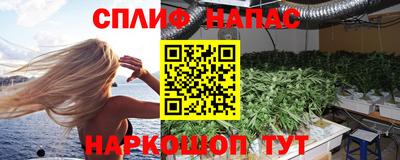 СК Моздок