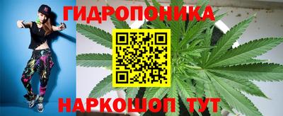 СК Моздок